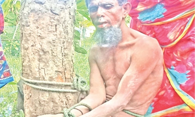 জমি নিয়ে বিরোধে কৃষককে  গাছে বেঁধে নির্যাতন