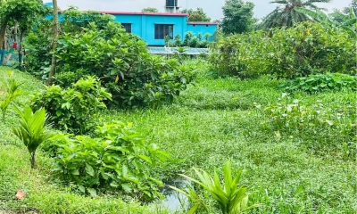 আটকে যাচ্ছে পানির স্বাভাবিক চলাচল, সৃষ্টি হচ্ছে জলাবদ্ধতা