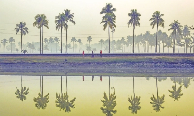 এই শীতে  নিঝুম দ্বীপে