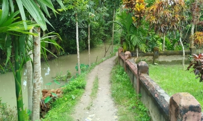 শতবর্ষী রাস্তা দখল  করে চলাচলে বাধা