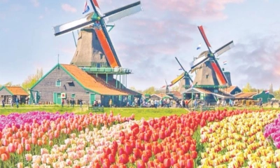 ফুলের নদী কেউকেনহফ