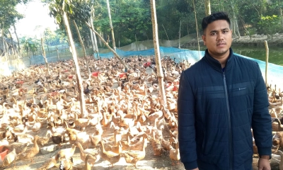 হাঁস পালনে স্বাবলম্বী তরুণ  উদ্যোক্তা মশিউর
