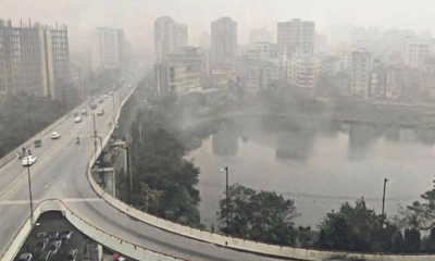 ছবি : সংগৃহীত