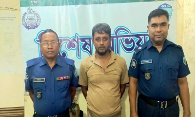 সন্তান প্রসব করেছে পাগলি, ধর্ষক গ্রেপ্তার