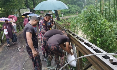 ছবি : সংগৃহীত