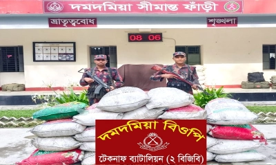 টেকনাফে বিজিবির পৃথক অভিযানে স‍্যার ও নৌকা জব্দ