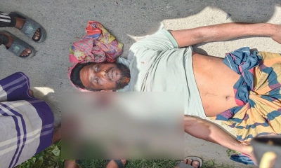 চুয়াডাঙ্গায় সড়ক দুর্ঘটনায় ভ্যান চালকের মৃত্যু