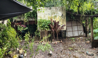 নাজিরপুর পোস্ট অফিস এখন ময়লার ভাগাড়