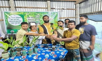 নাগরপুরে বিশ্ব পরিবেশ দিবসে বৃক্ষরোপণ ও চারা বিতরণ