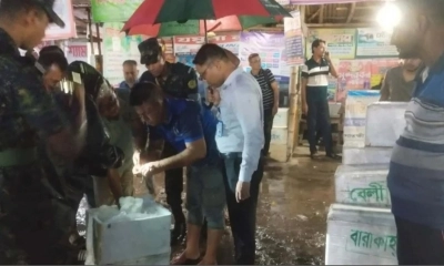 সাতক্ষীরায় ২৬০ কেজি জেলি-পুশকৃত চিংড়ি জব্দ, গাড়ির চাকায় পিষ্ট করে ধ্বংস