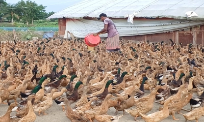 ছবি- রূপালী বাংলাদেশ