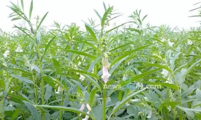 ছবি- রূপালী বাংলাদেশ