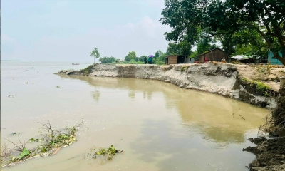 নাগরপুরে নদীভাঙনে অর্ধশত বসতবাড়ি, মসজিদ-ফসলি জমি নদীগর্ভে 