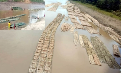 বাঁশ পাচারে বন কর্মকর্তার পকেট ভারি : অভয়ারণ্য ধ্বংসের উৎসব