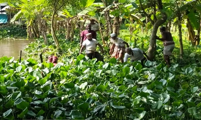 দুমকিতে স্বেচ্ছাশ্রমে গোদা ও কাটাখালী খালের কচুরিপানা পরিষ্কার শুরু