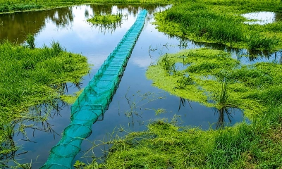 ছবি- রূপালী বাংলাদেশ