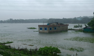 তিন দিনের বৃষ্টিতে বিপর্যস্ত আনোয়ারা, তলিয়ে গেছে ফসলি জমি