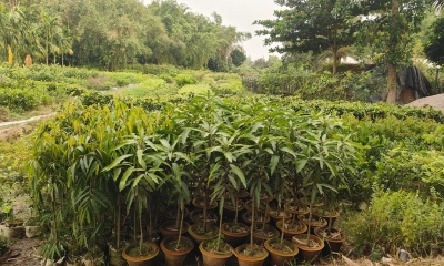 ছবি- রূপালী বাংলাদেশ