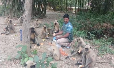 ছবি- রূপালী বাংলাদেশ