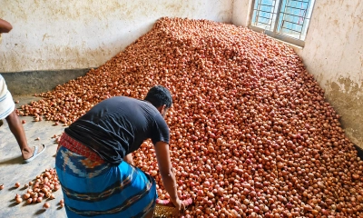 এক মণ পেঁয়াজ বিক্রি করে এক কেজি মাংসও মেলে না