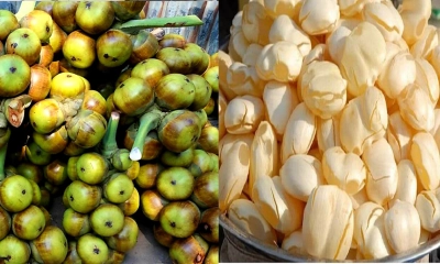 তীব্র গরমে স্বস্তির নাম তালের শাঁস, তাড়াশে বেড়েছে চাহিদা
