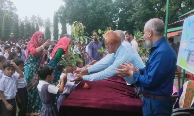বাকৃবির মুক্তিযোদ্ধা স্মৃতি বিদ্যালয়ের শিক্ষার্থীদের মাঝে গাছের চারা বিতরণ