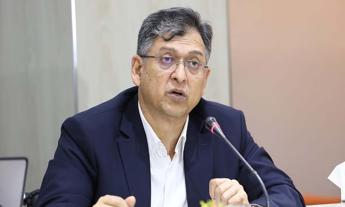 বিএনপির স্থায়ী কমিটির সদস্য সালাহউদ্দিন আহমেদ। ছবি : সংগৃহীত