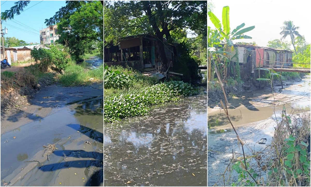 ছবি- রূপালী বাংলাদেশ