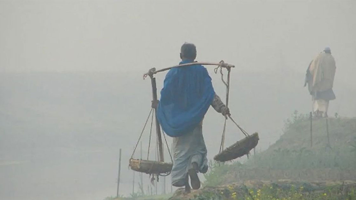 শীতকাল। ছবি : সংগৃহীত