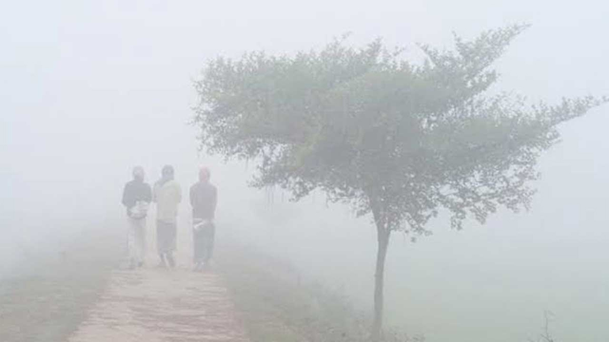 শৈত্যপ্রবাহের কবলে জনজীবন। পুরোনো ছবি