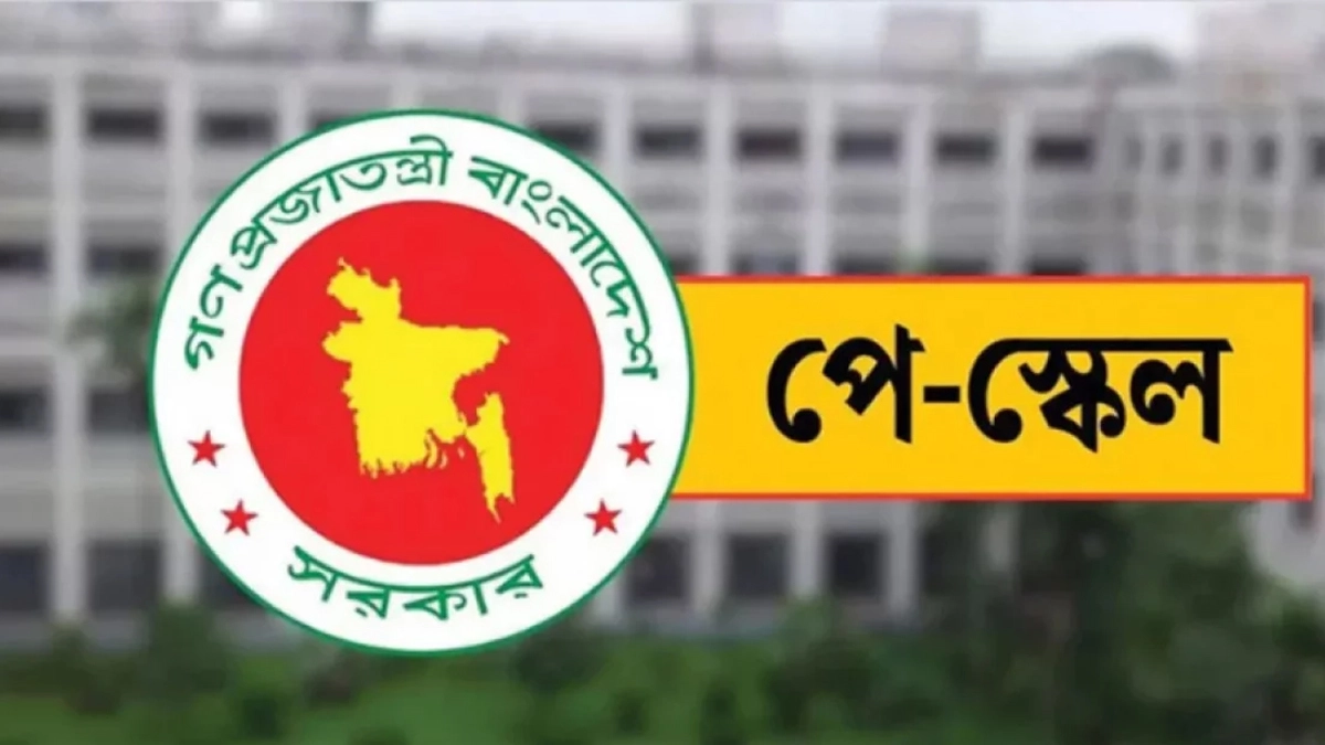 পে-স্কেল। ছবি : সংগৃহীত