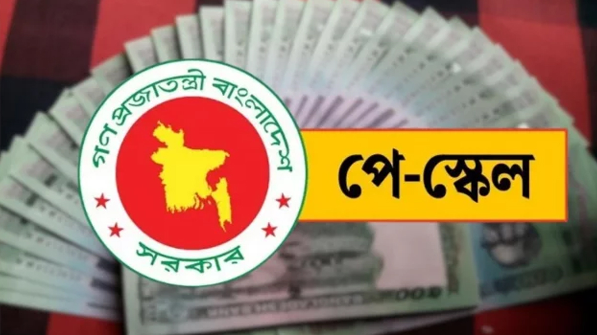 পে-স্কেল। ছবি : সংগৃহীত