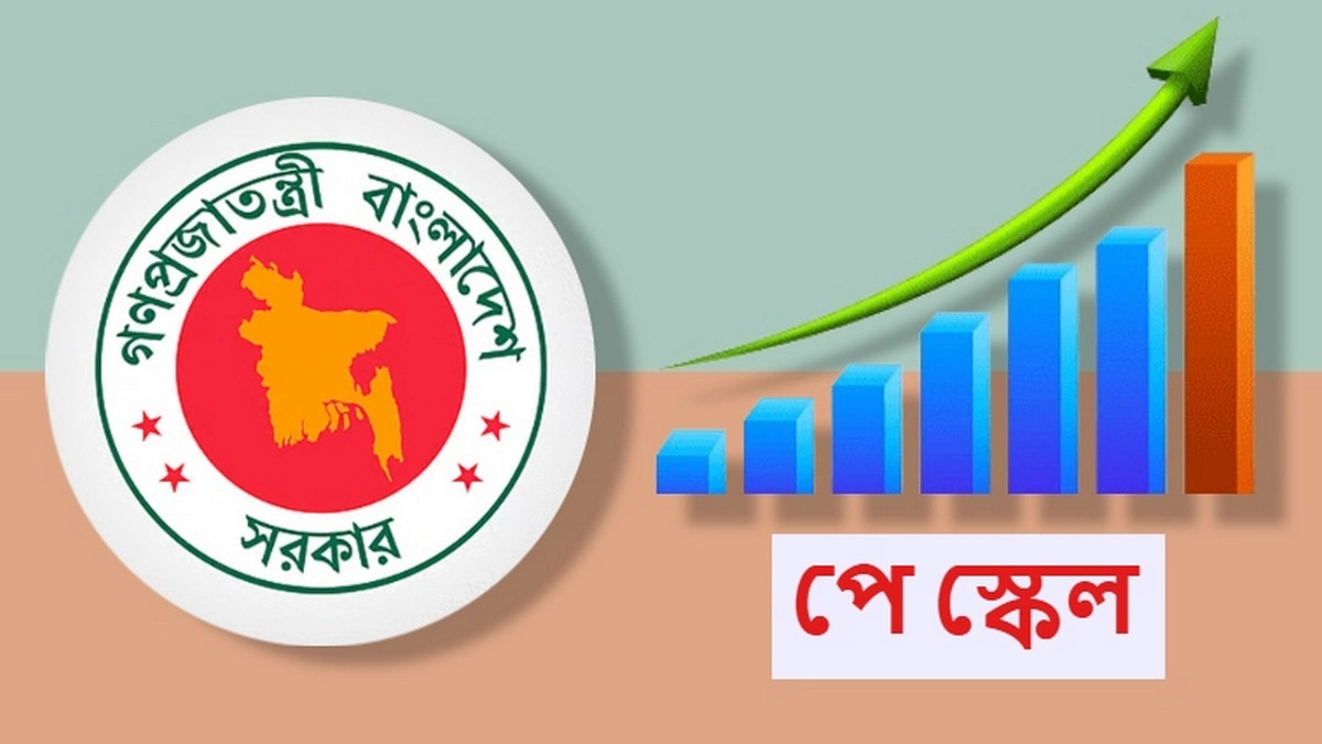 পে-স্কেল। ছবি : সংগৃহীত
