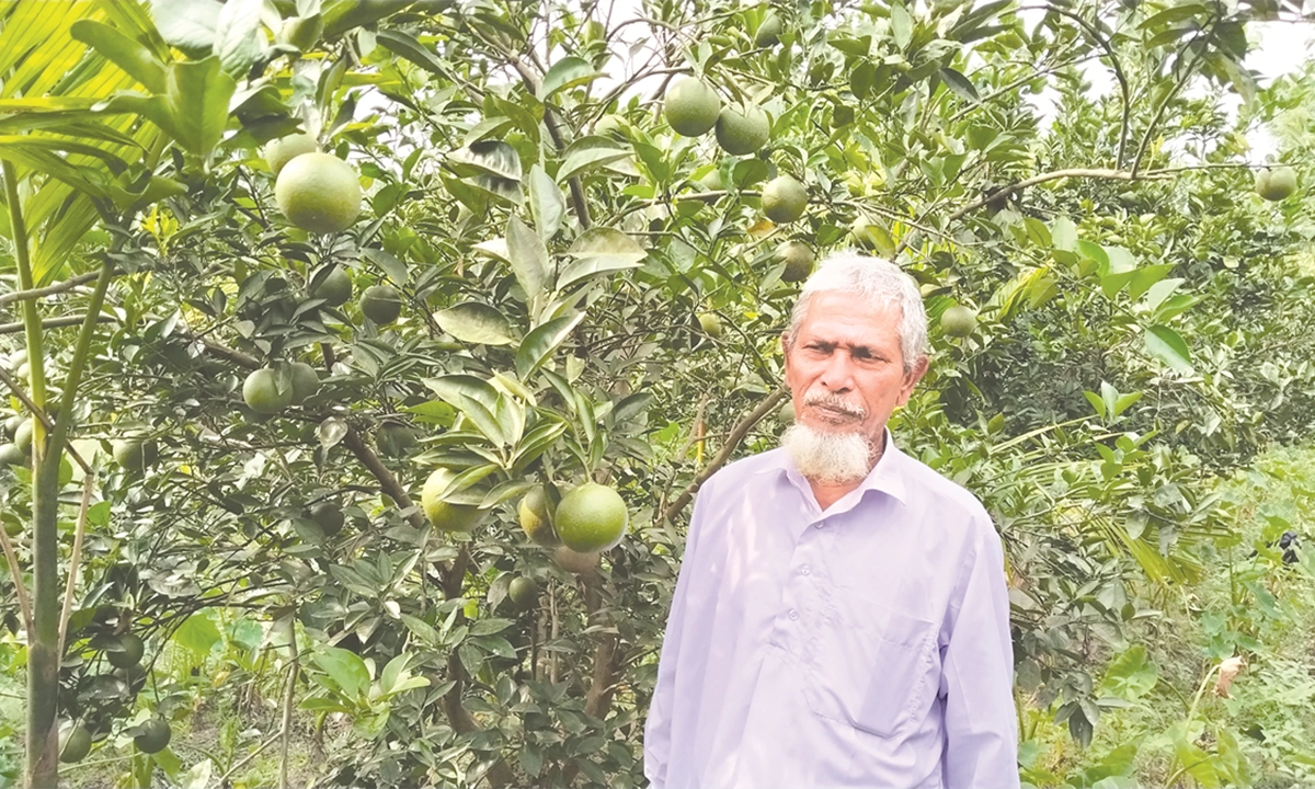 লালমনিরহাটের কালীগঞ্জে মাল্টা বাগানের সামনে রঞ্জু মিয়া। ছবি- রূপালী বাংলাদেশ