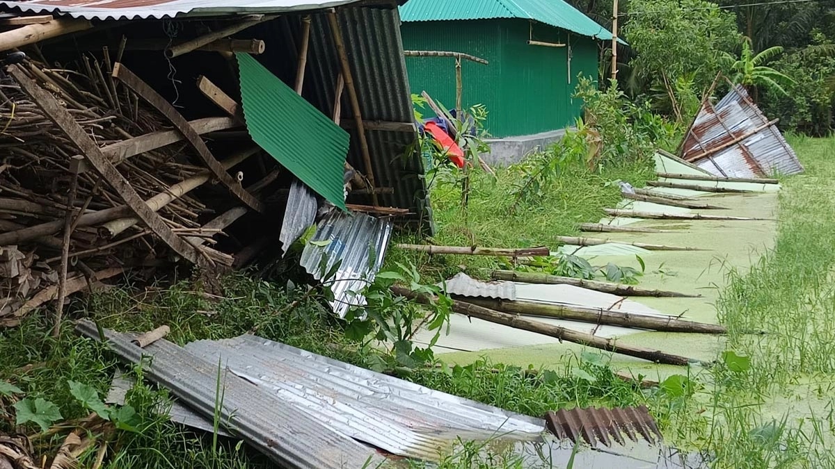 ছবি : সংগৃহীত