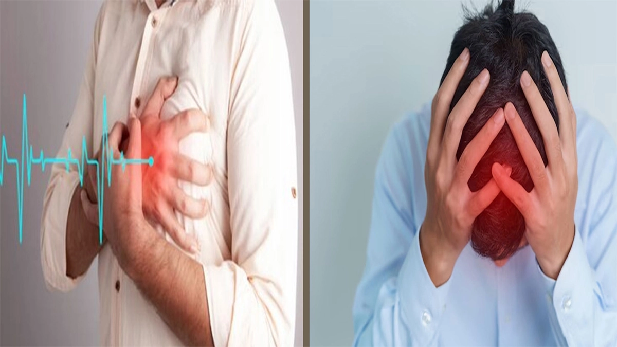 দেখে নিন হার্ট অ্যাটাক ও স্ট্রোকের পার্থক্যগুলো। ছবি- সংগৃহীত