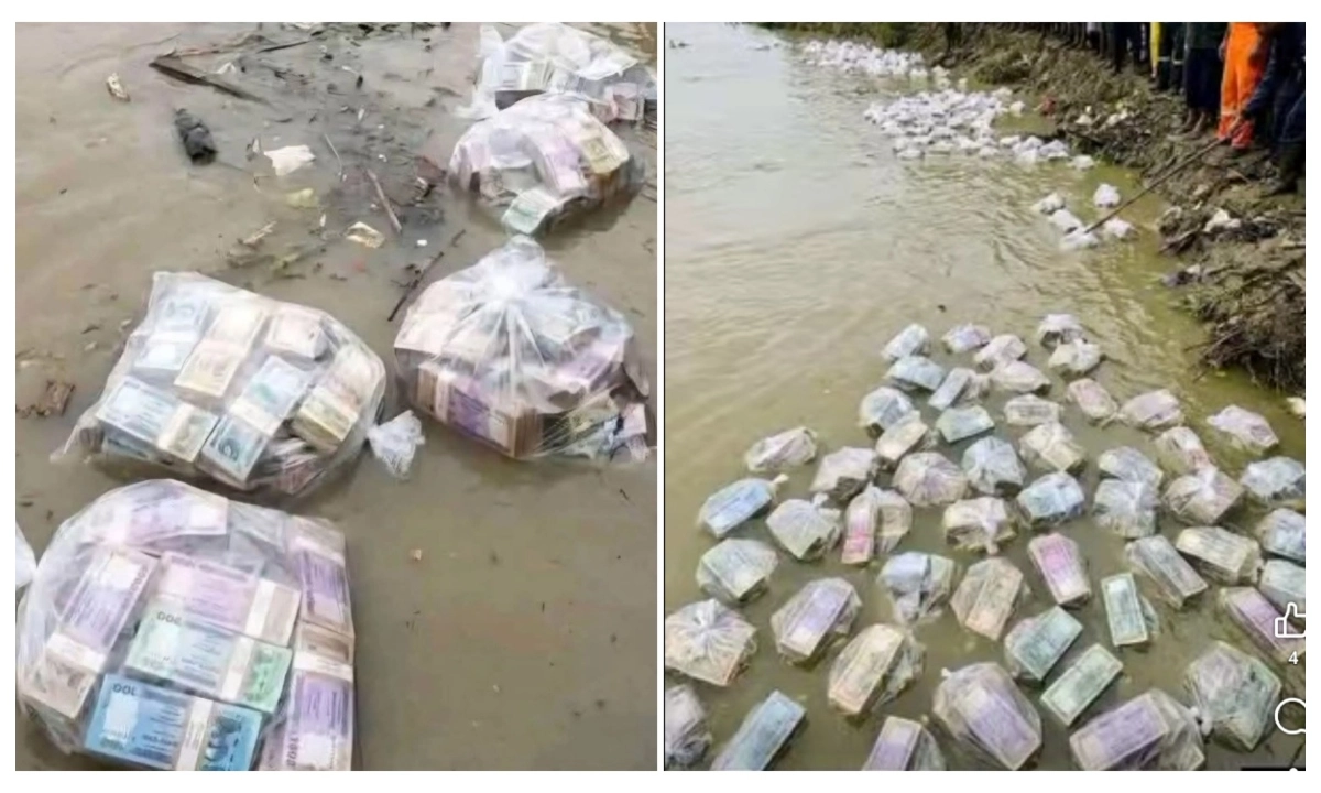 ছবি- সংগৃহীত