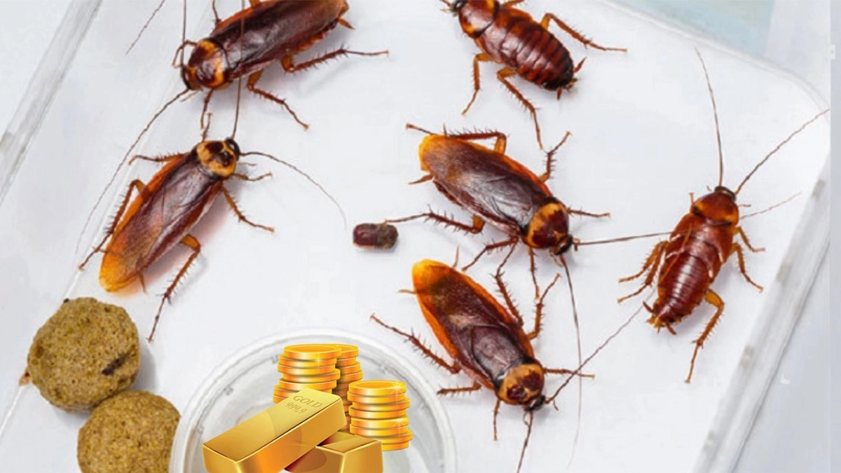 ছবি- সংগৃহীত