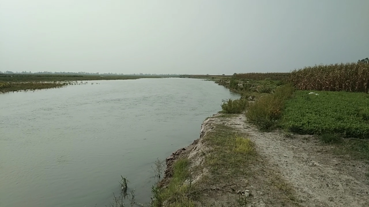 তিস্তা-ধরলার পানি কমলেও বাড়ছে ভাঙন