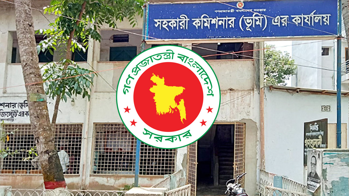 ছবি- সংগৃহীত