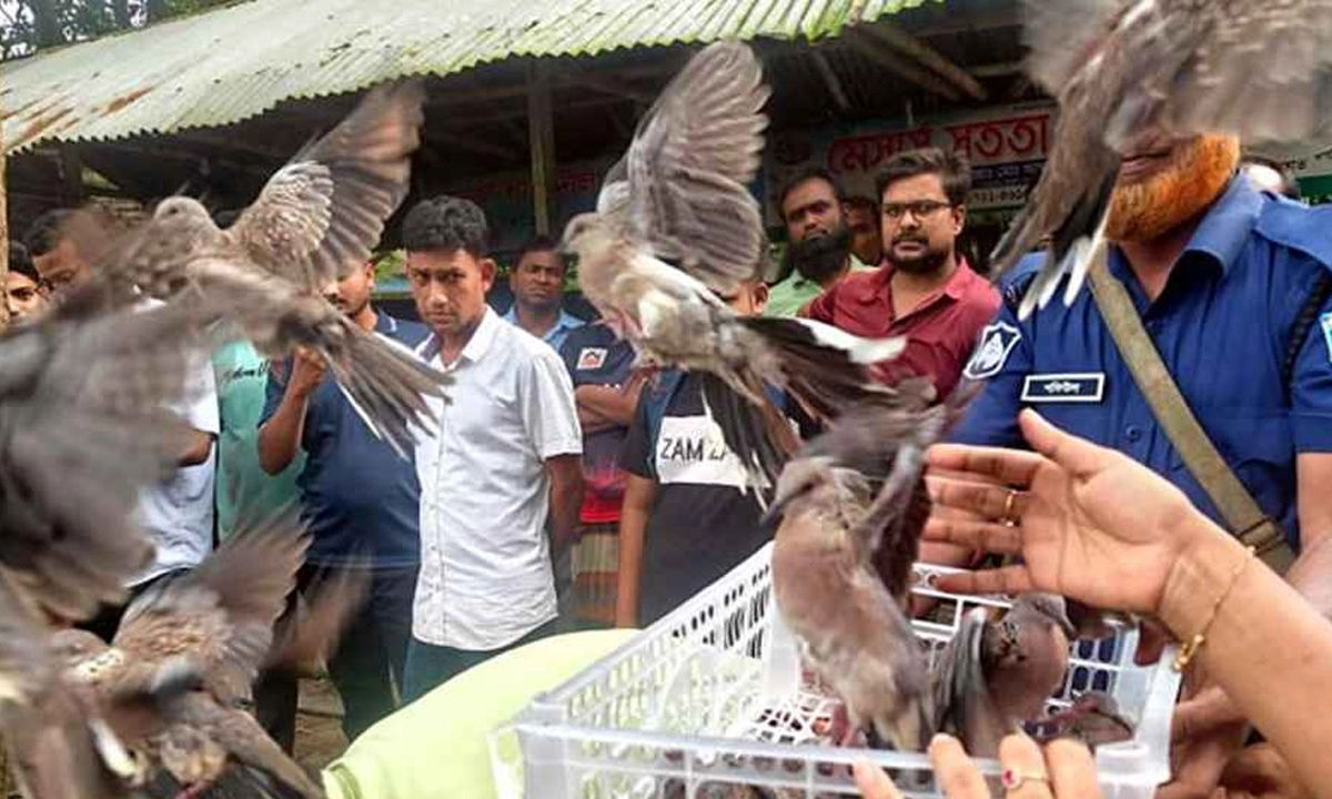 ছবি- সংগৃহীত