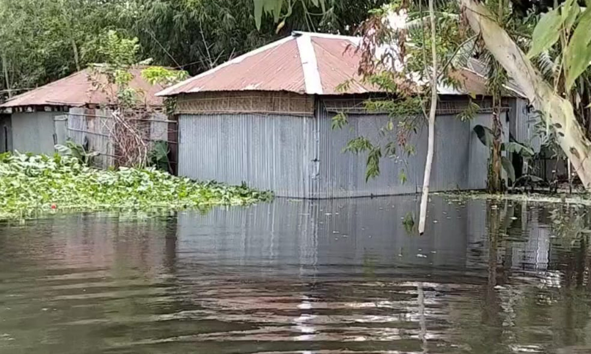 লালমনিরহাটে বন্যা দেখা দিয়েছে। এতে ২২ হাজার পরিবার পানিবন্দি রয়েছেন। ছবি- রূপালী বাংলাদেশ