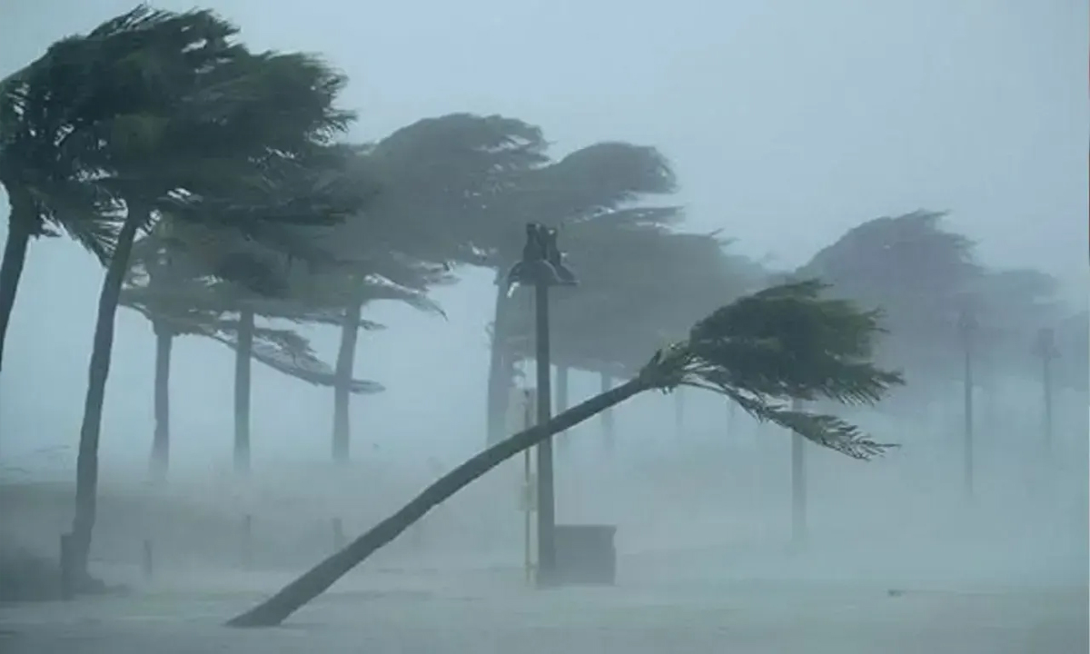 ছবি- সংগৃহীত