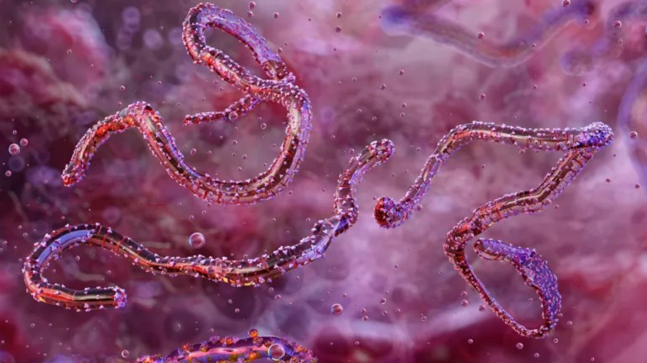 প্রতীকী ছবি।