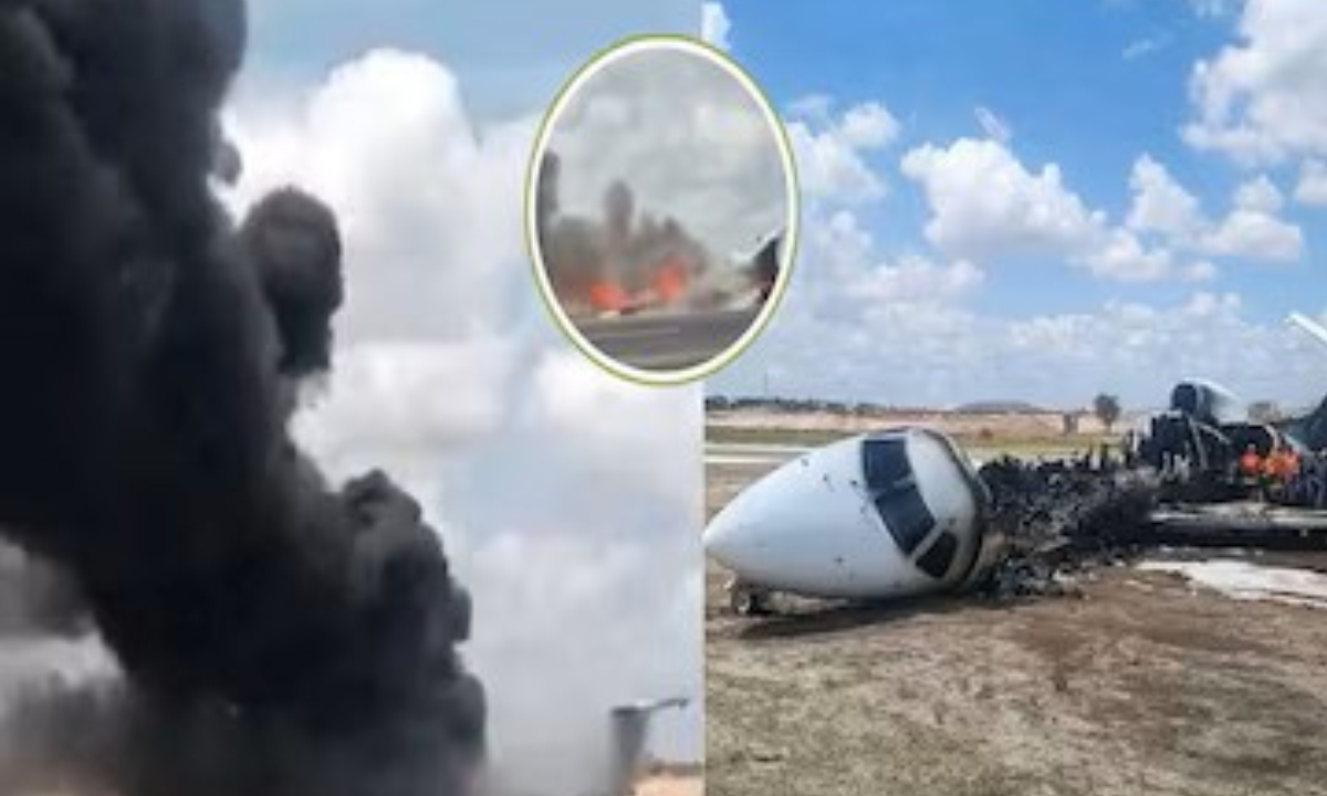 ভাইরাল ভিডিও থেকে নেওয়া।