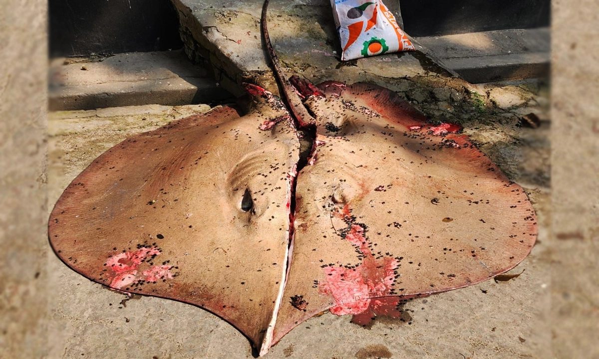 ছবি : রূপালী বাংলাদেশ