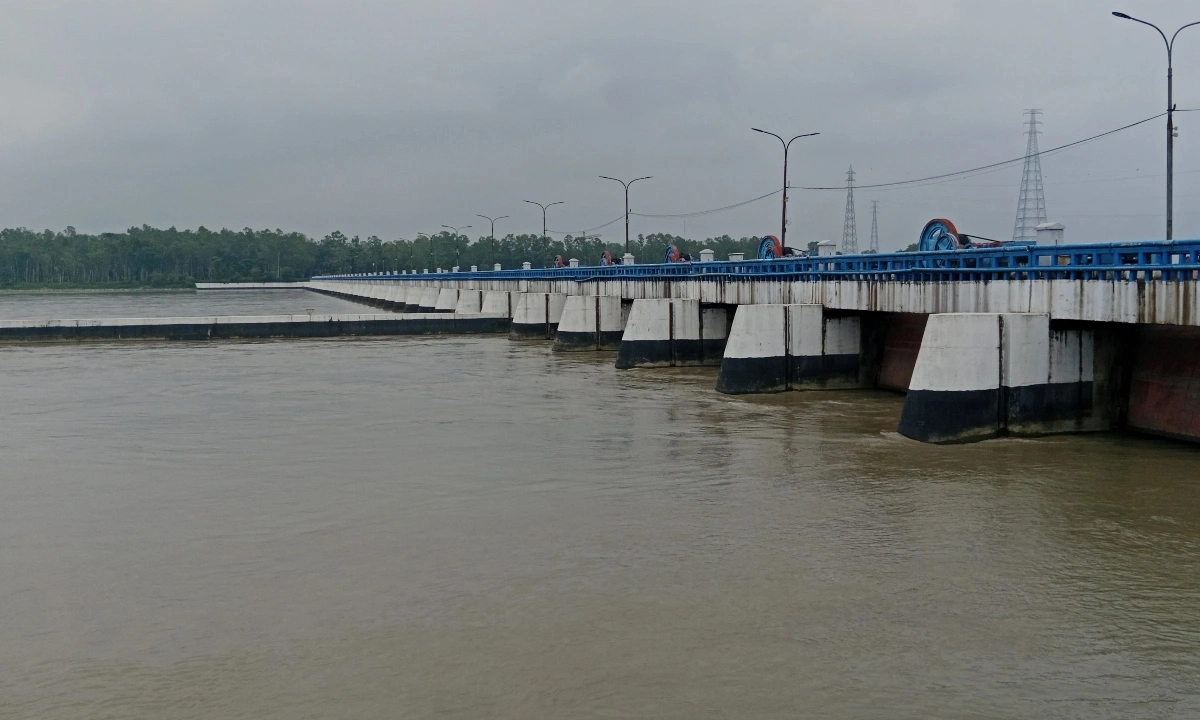 ছবি : সংগৃহীত