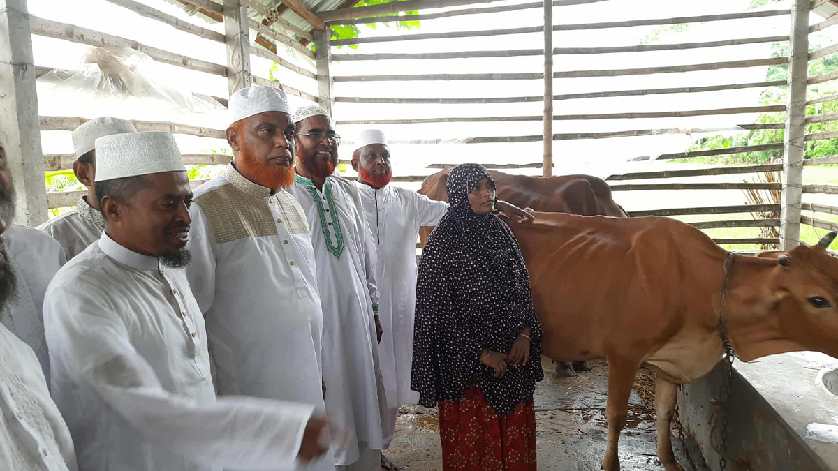 সেই আছিয়ার পরিবারকে গাভী ও গোয়ালঘর দিলেন জামায়াত আমির