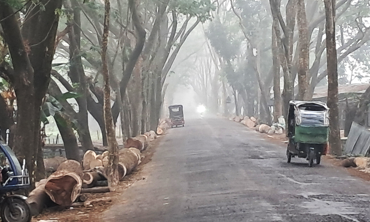ছবি : রূপালী বাংলাদেশ