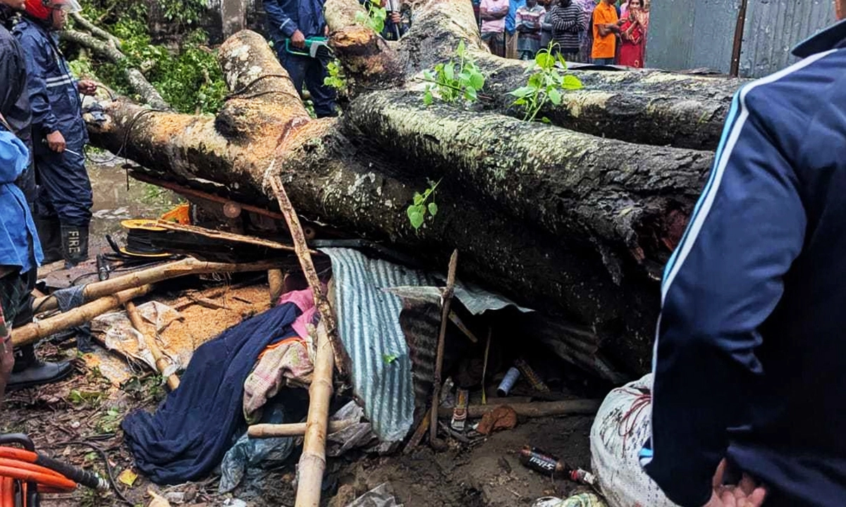 ছবি : রূপালী বাংলাদেশ